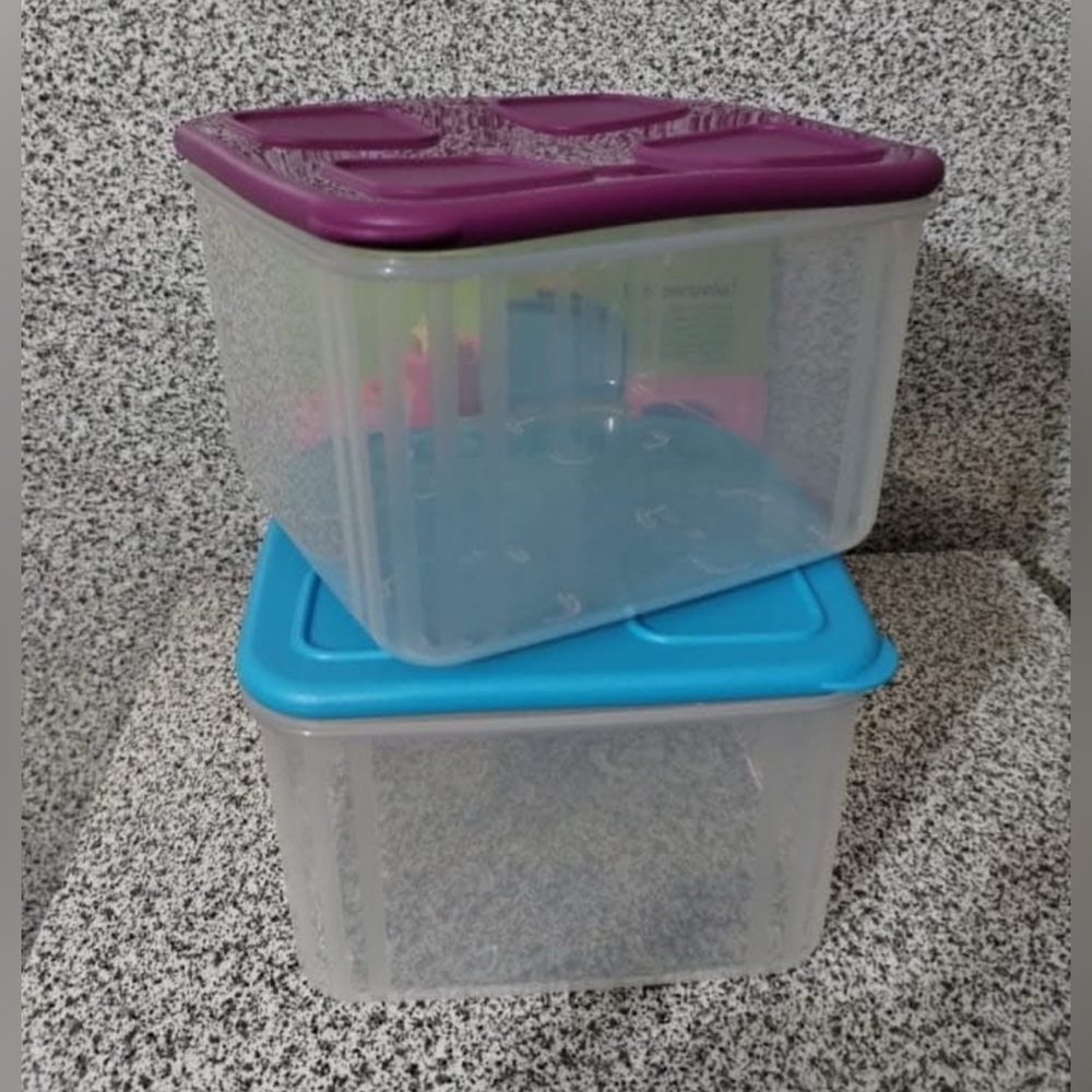 Tupperware Rectangular Clear Mates Set